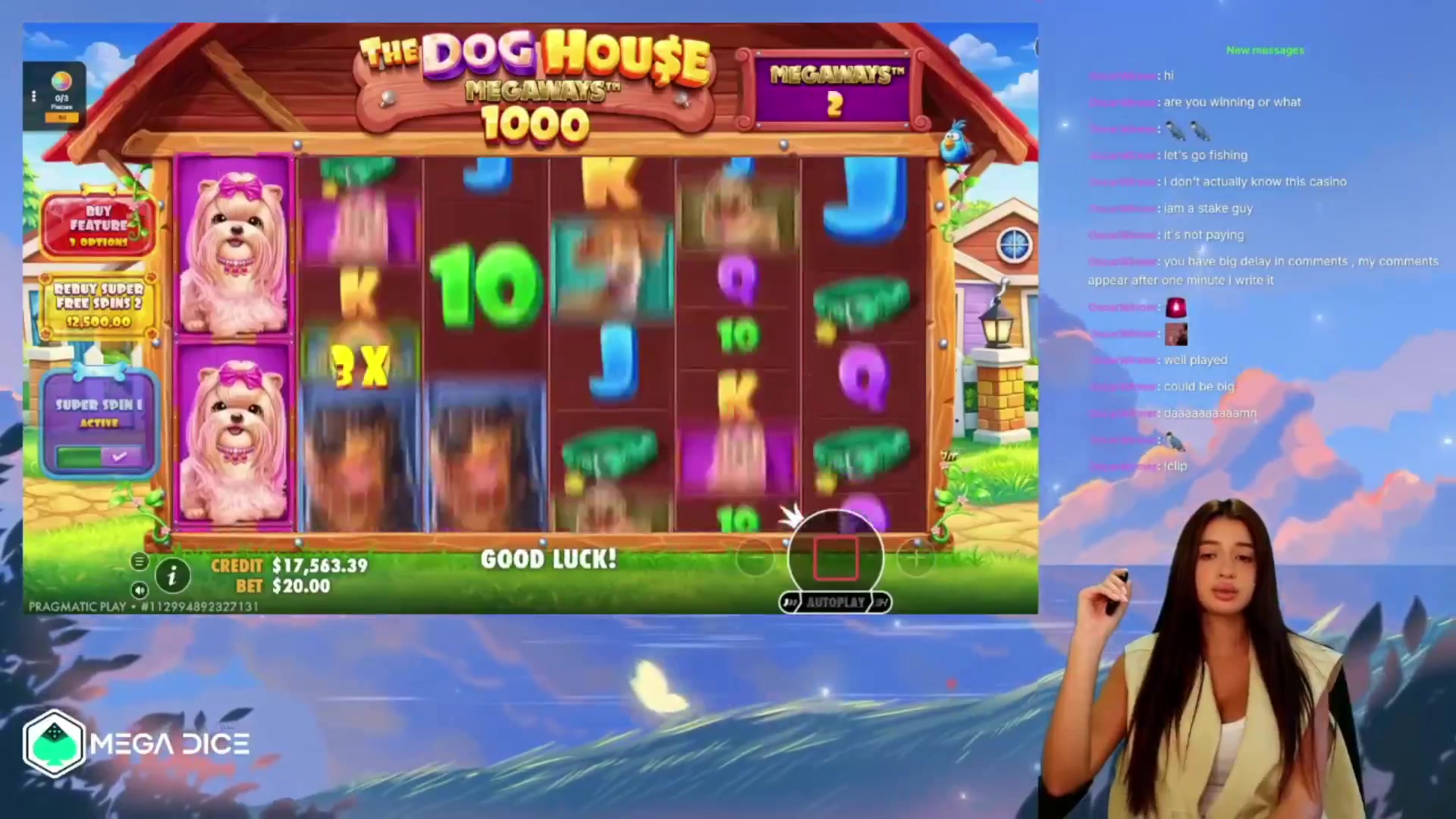 The Dog House Megaways 1000: $540.00 win (26.99x)
