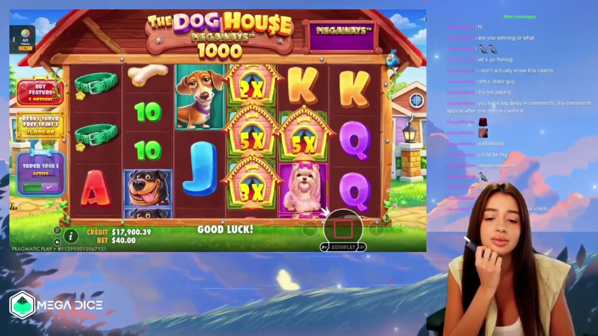 The Dog House Megaways 1000: $525.00 win (13.12x)