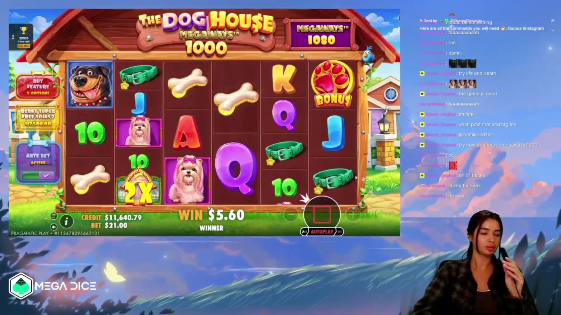 The Dog House Megaways 1000: $542.50 win (25.83x)